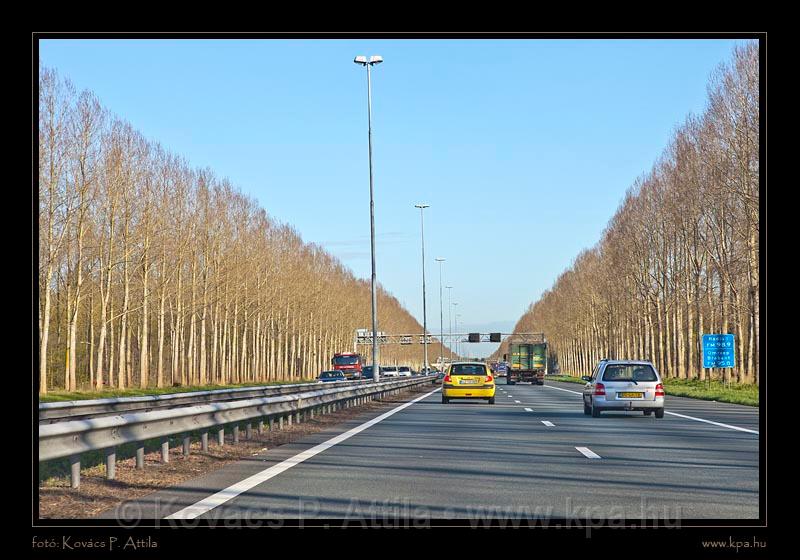 Keukenhof Hollandia 082.jpg